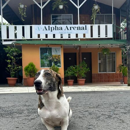 La Fortuna Alpha Arenal旅舍 外观 照片