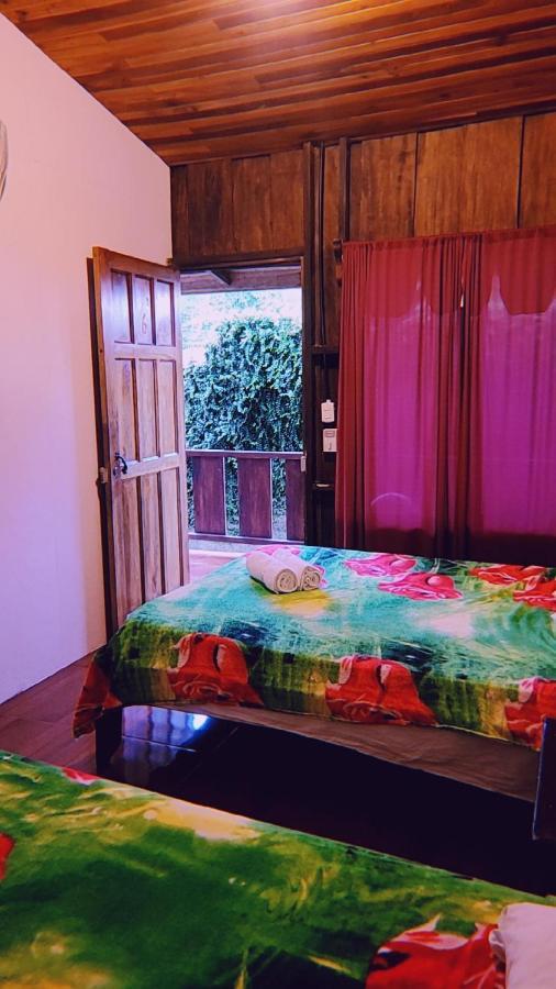 La Fortuna Alpha Arenal旅舍 外观 照片