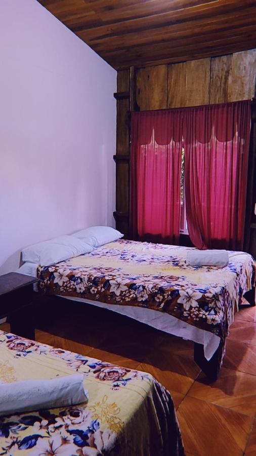 La Fortuna Alpha Arenal旅舍 外观 照片
