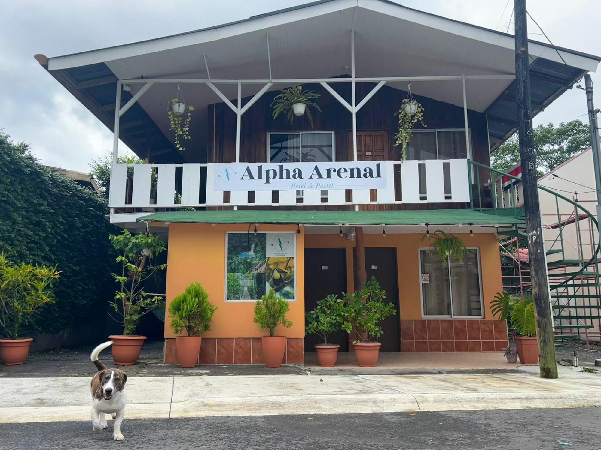 La Fortuna Alpha Arenal旅舍 外观 照片